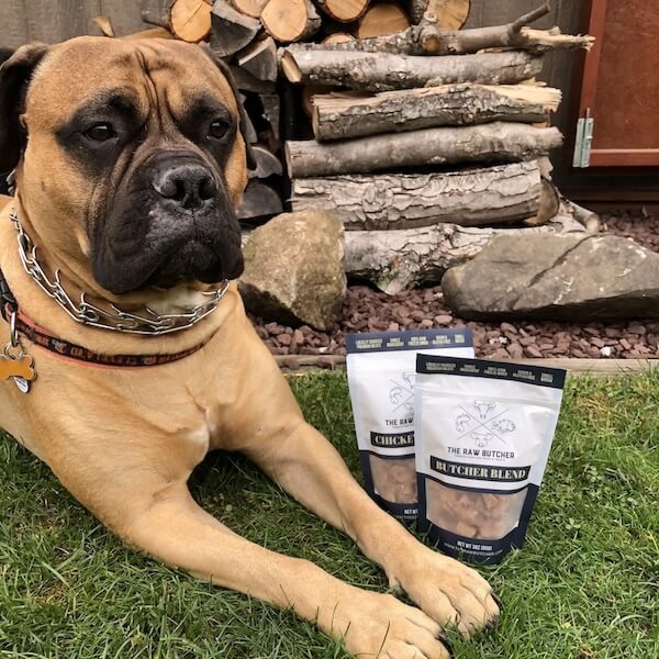 Dog with freeze dried treats | The Raw Butcher